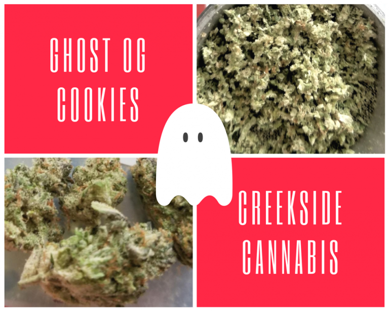 Ghost OG Cookies by Creekside Cannabis World Of Weed
