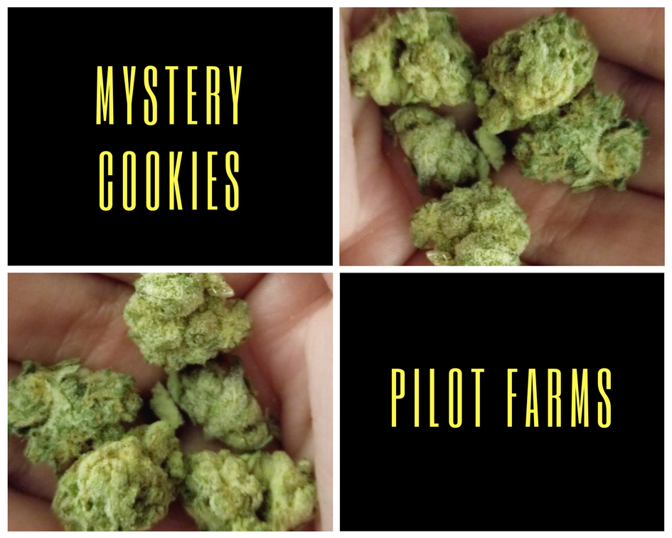 Mystery Cookies by Pilot Farms 