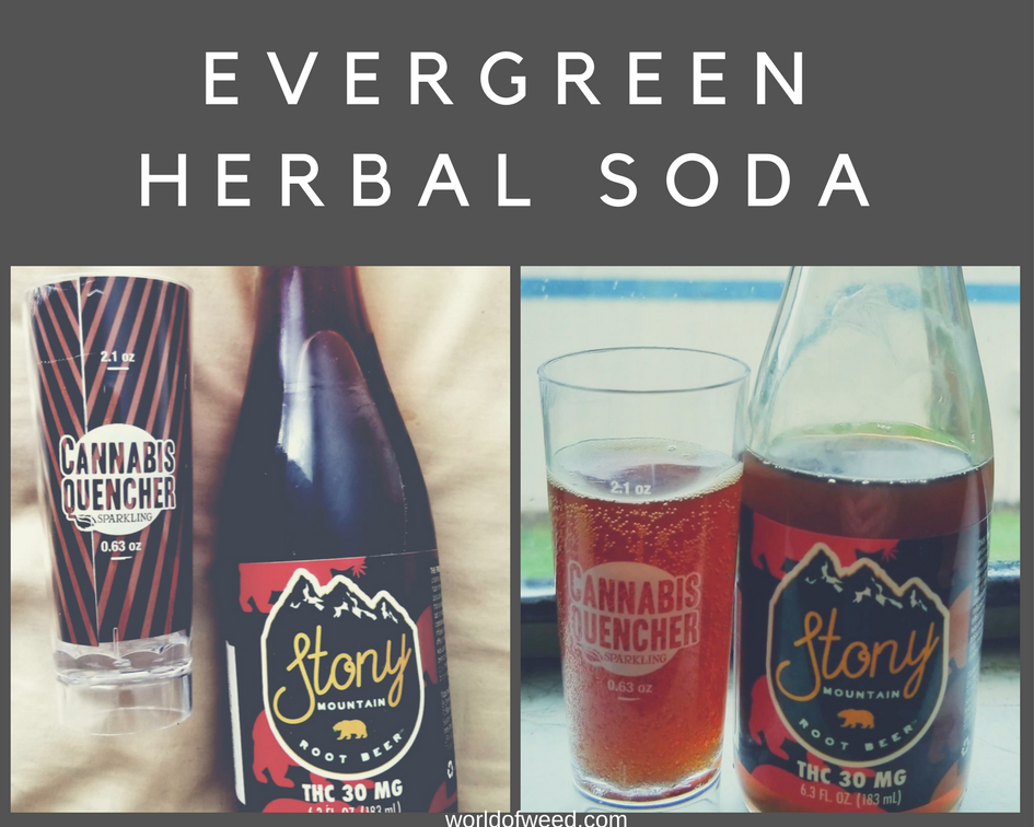 Evergreen Herbal Soda