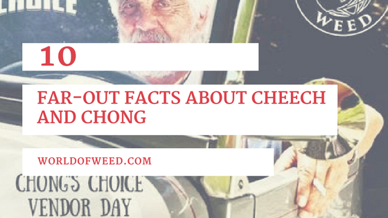 cheech and chong, facts about cheech and chong, chong's choice