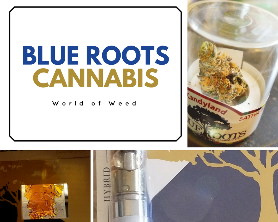 blue roots cannabis, blue roots cannabis products, blue roots cannabis world of weed vendor day
