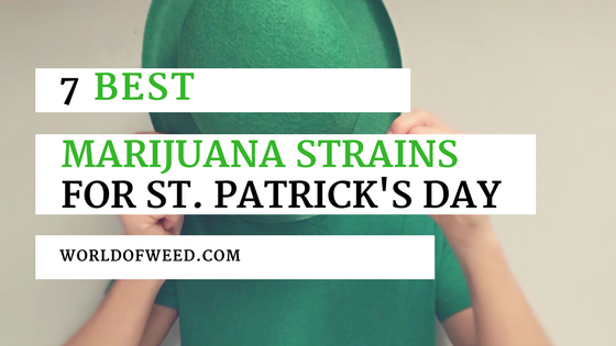 best marijuana strains for st. patrick's day