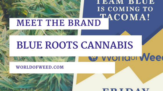 blue-roots-cannabis