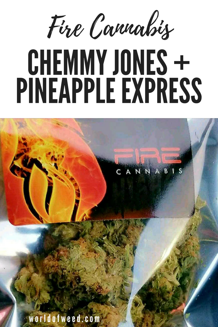fire cannabis chemmy jones pineapple express