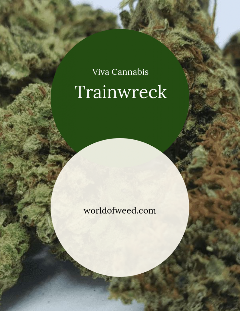 Trainwreck Viva Cannabis
