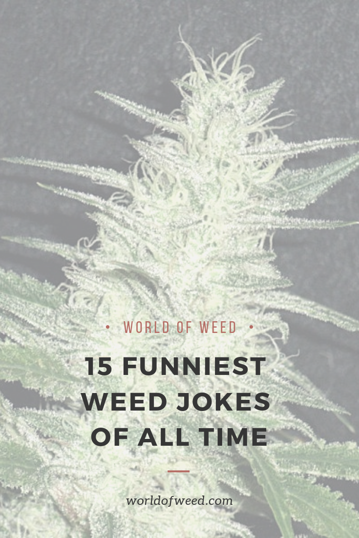 15 Funniest Weed Jokes Of All Time World Of Weed