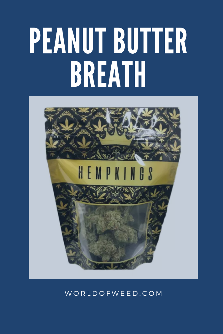 Recreational use of feminized Peanut Butter Breath weed