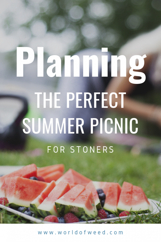 Tacoma dispensary, planning the perfect summer picnic for stoners