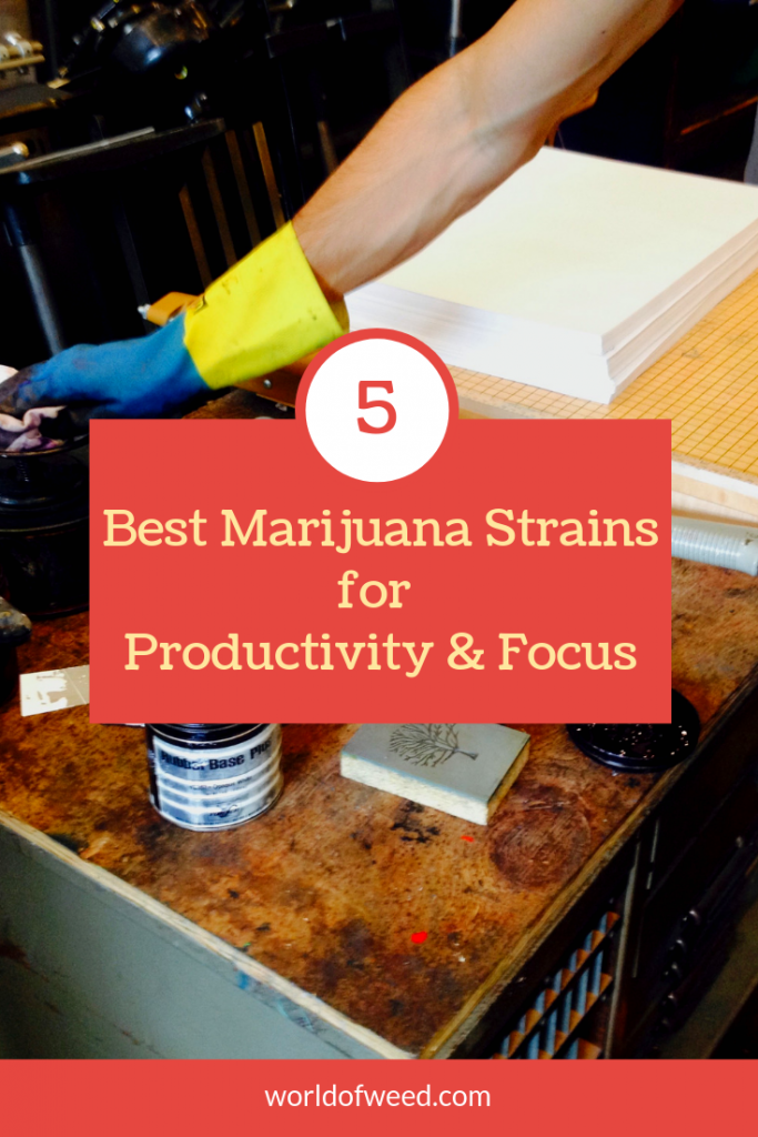 best marijuana strains for productivity and focus, best strains for productivity, Tacoma dispensary, Tacoma potshop