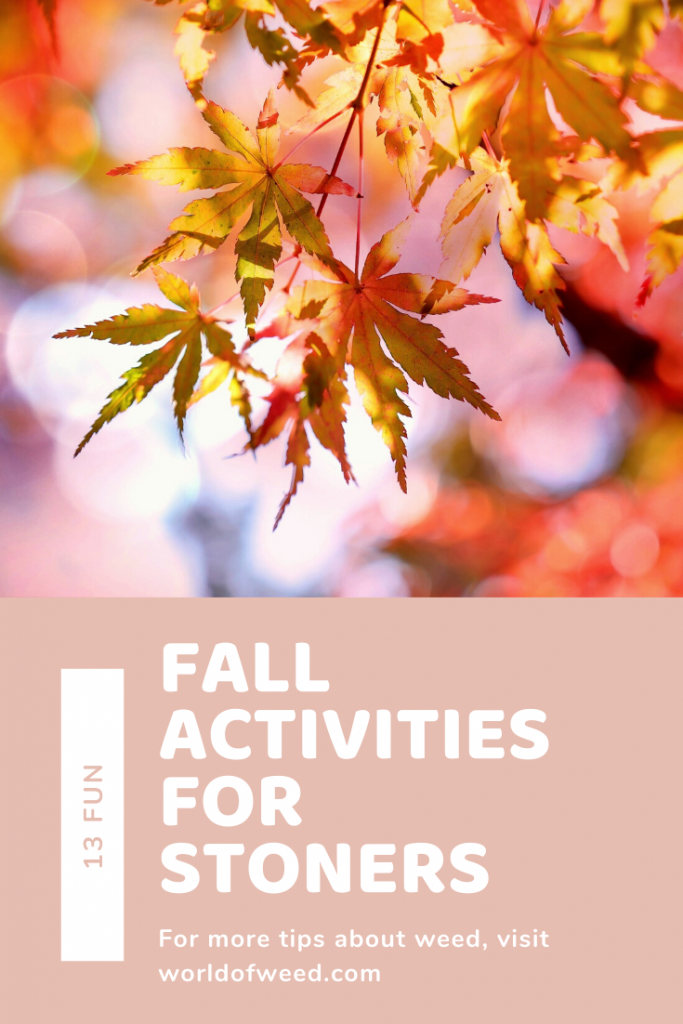 13 Fun Fall Activities for Stoners from Tacoma dispensary World of Weed