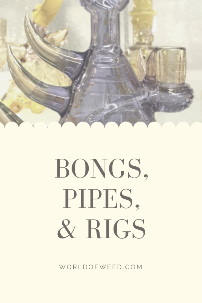 Bongs, Pipes, or Rigs: Which Should You Pick? Tacoma dispensary World of Weed