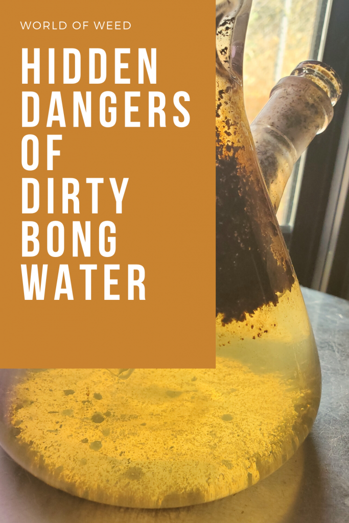 Hidden Dangers of Dirty Bong Water