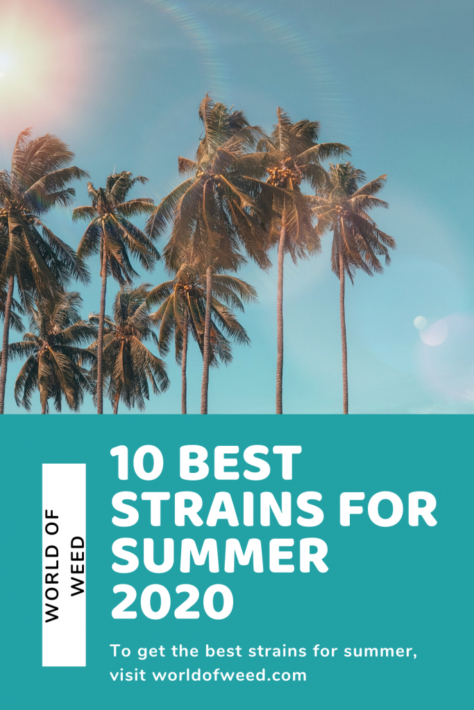Image of palm trees above text that reads "10 Best Strains for Summer 2020" 