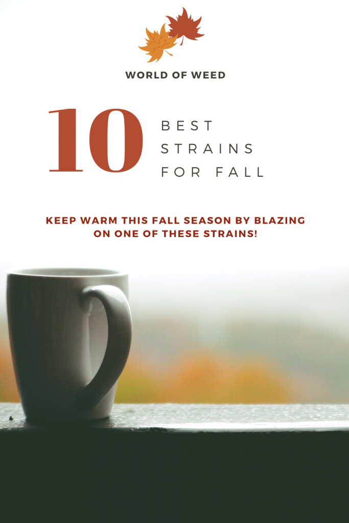 10 Best Fall Strains for 2020