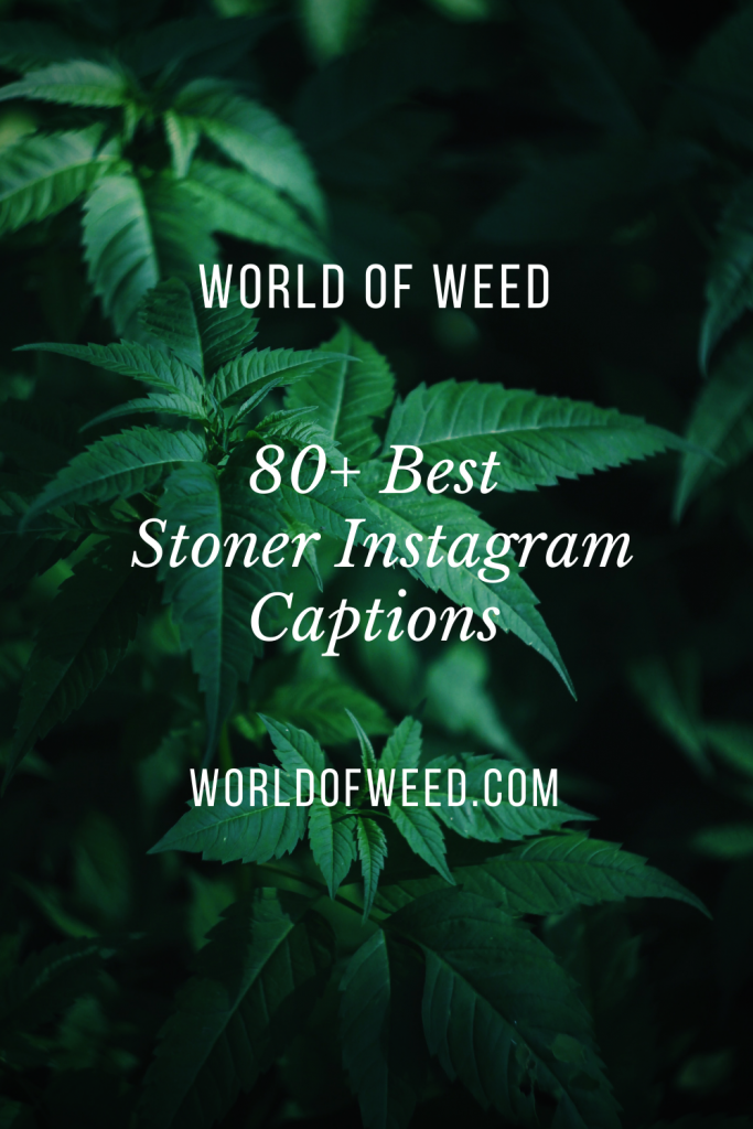 80+ Best Stoner Instagram Captions