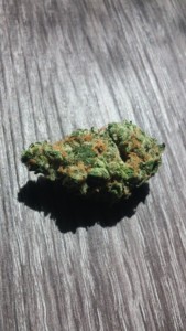 crreekside-cannabis-hawaiian-diesel