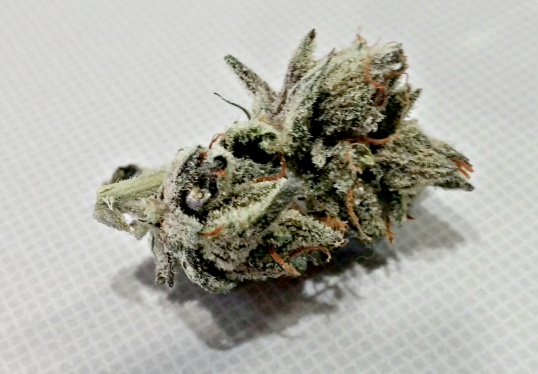 thsea afghani cannabis flower 