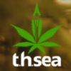 t.h.sea cannabis