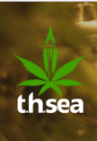 THsea – Afghani