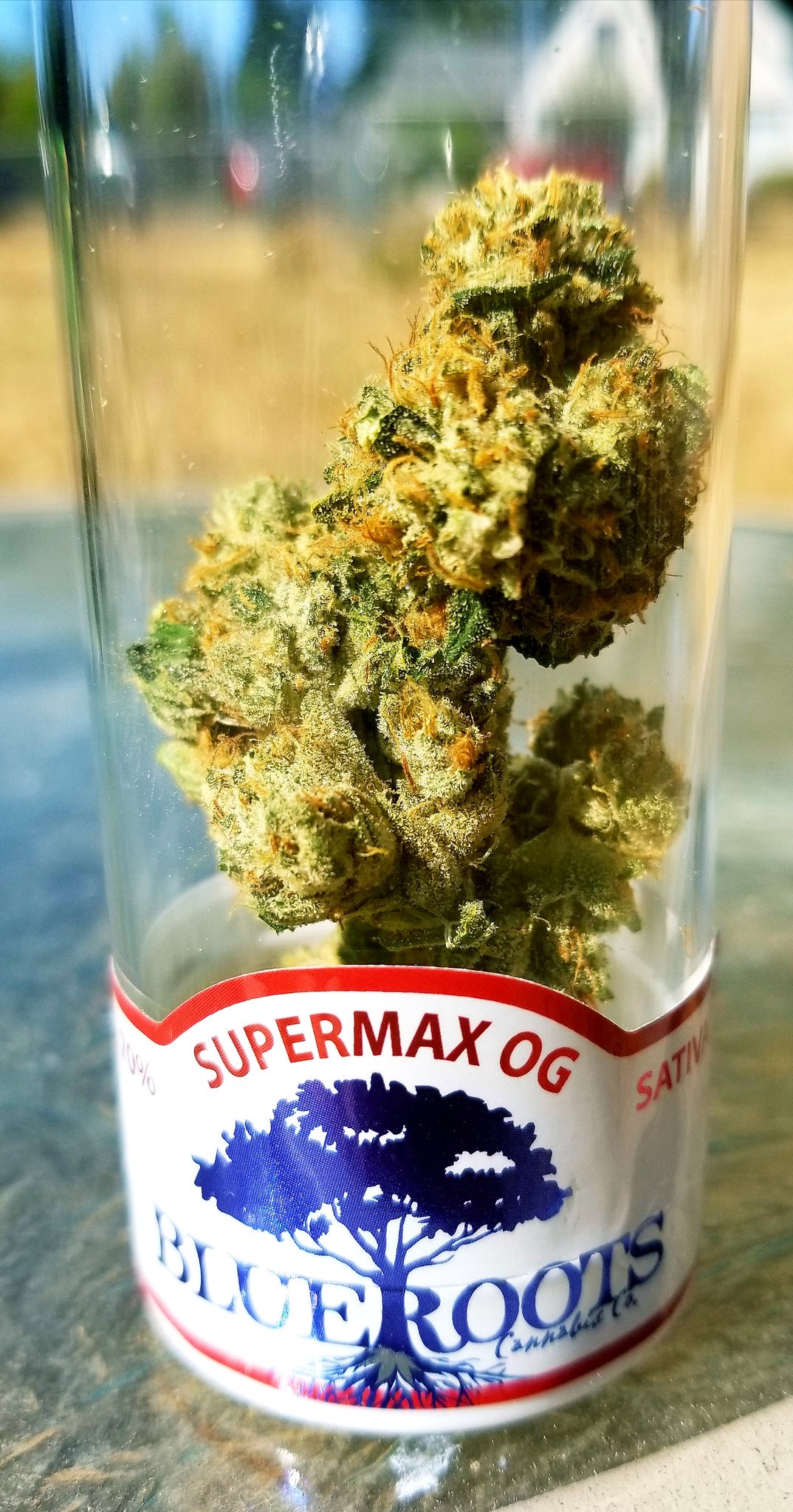 Supermax OG by Blue Roots 