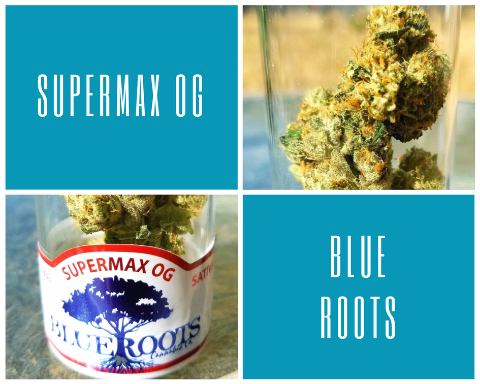 Supermax OG by Blue Roots