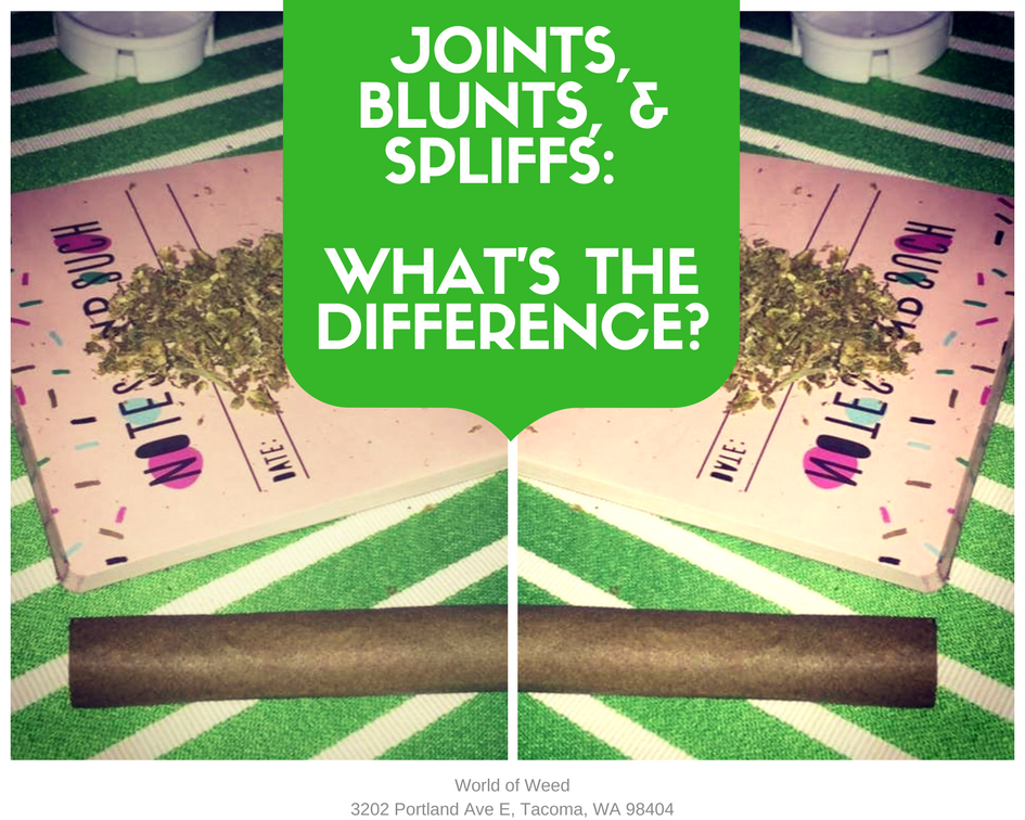 difference between joint blunt and spliff