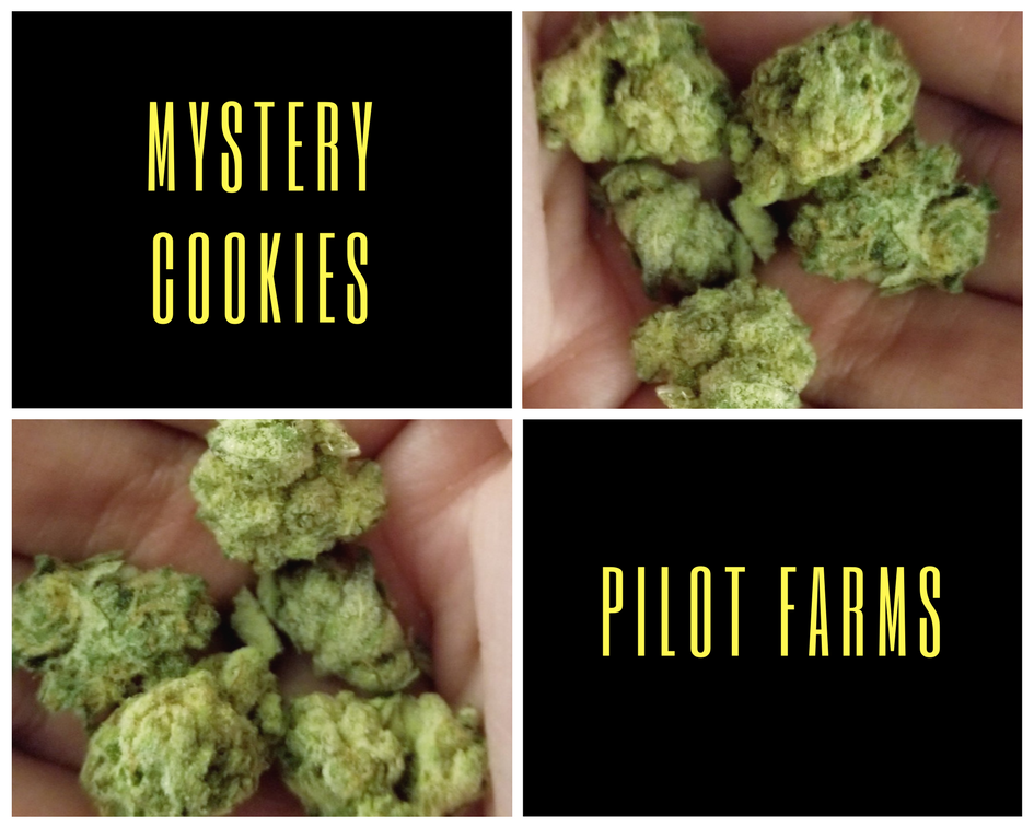 Mystery Cookies by Pilot Farms