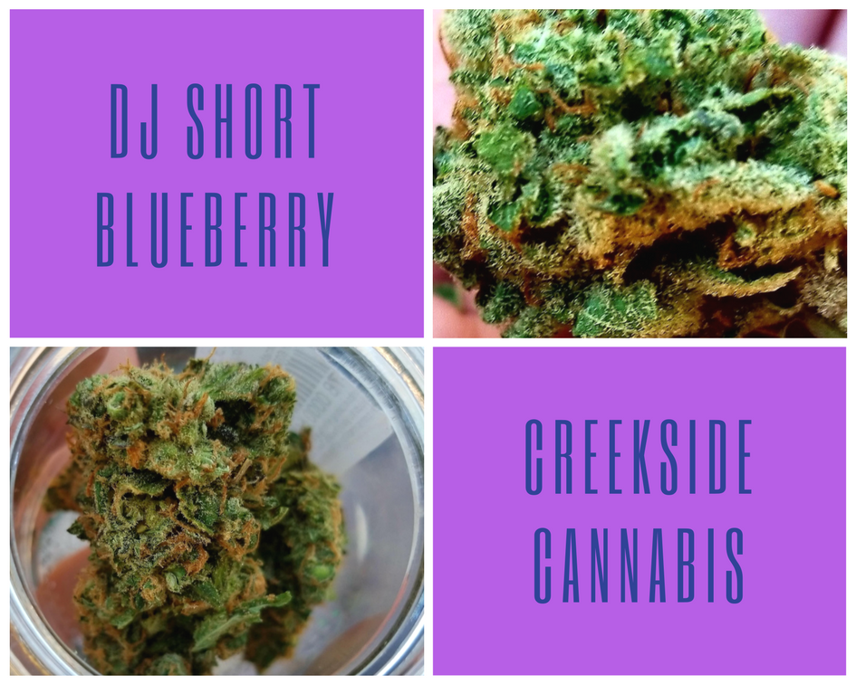 DJ Short Blueberry by Creekside Cannabis