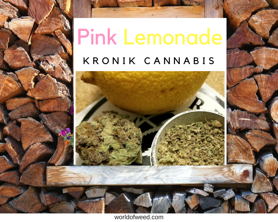 pink lemonade strain, kronik cannabis 