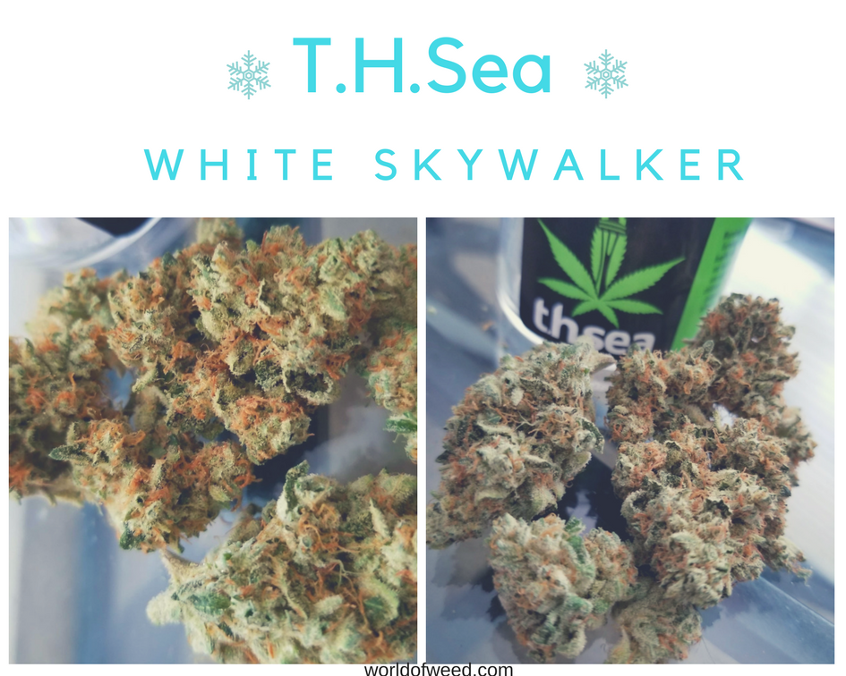 white skywalker strain, thsea, world of weed 