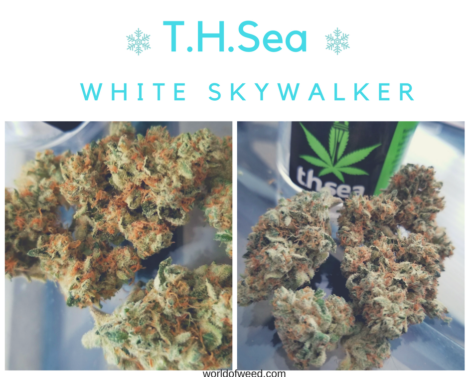 white skywalker strain, thsea, world of weed