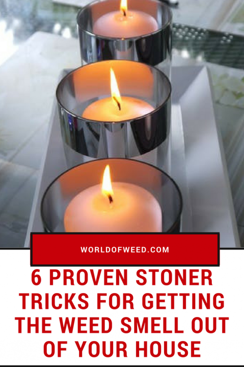 6 Proven Stoner Tricks for Getting the Weed Smell Out of Your House