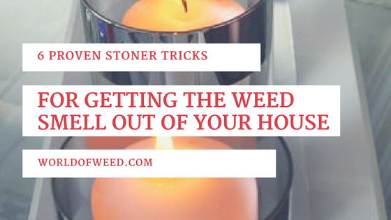 6 Proven Stoner Tricks for Getting the Weed Smell Out of Your House