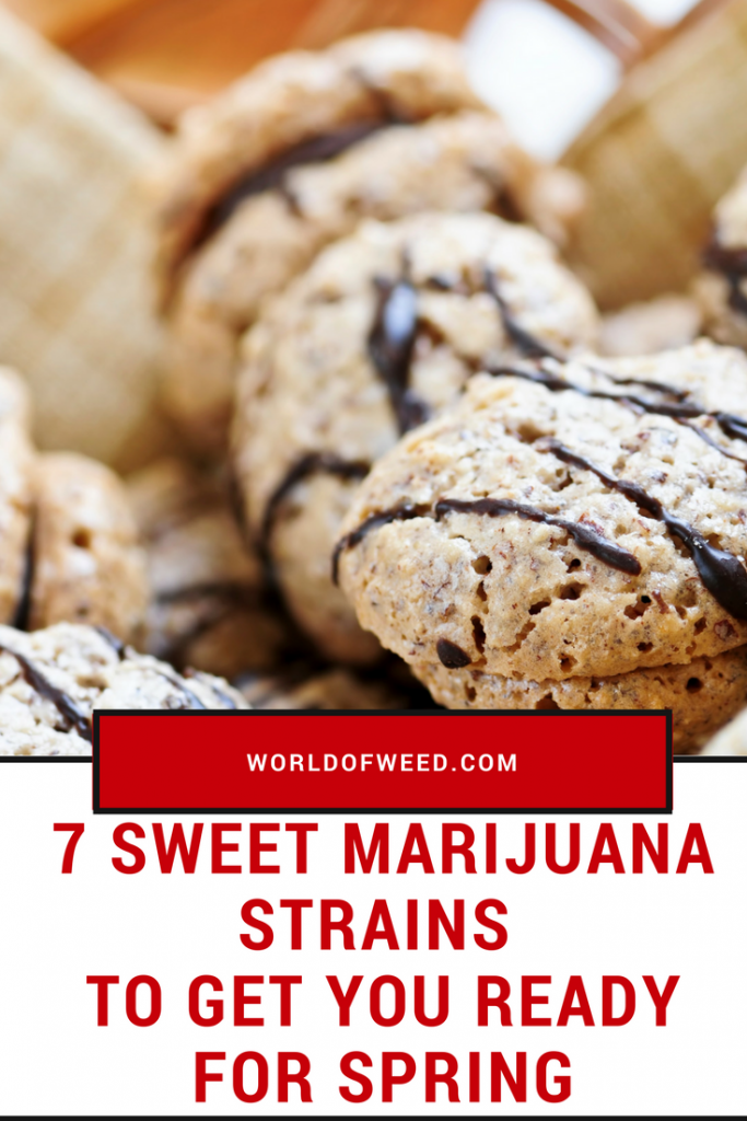 7 Sweet Marijuana Strains to Get You Ready for Spring World Of Weed