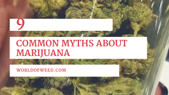 9 Common Myths About Marijuana