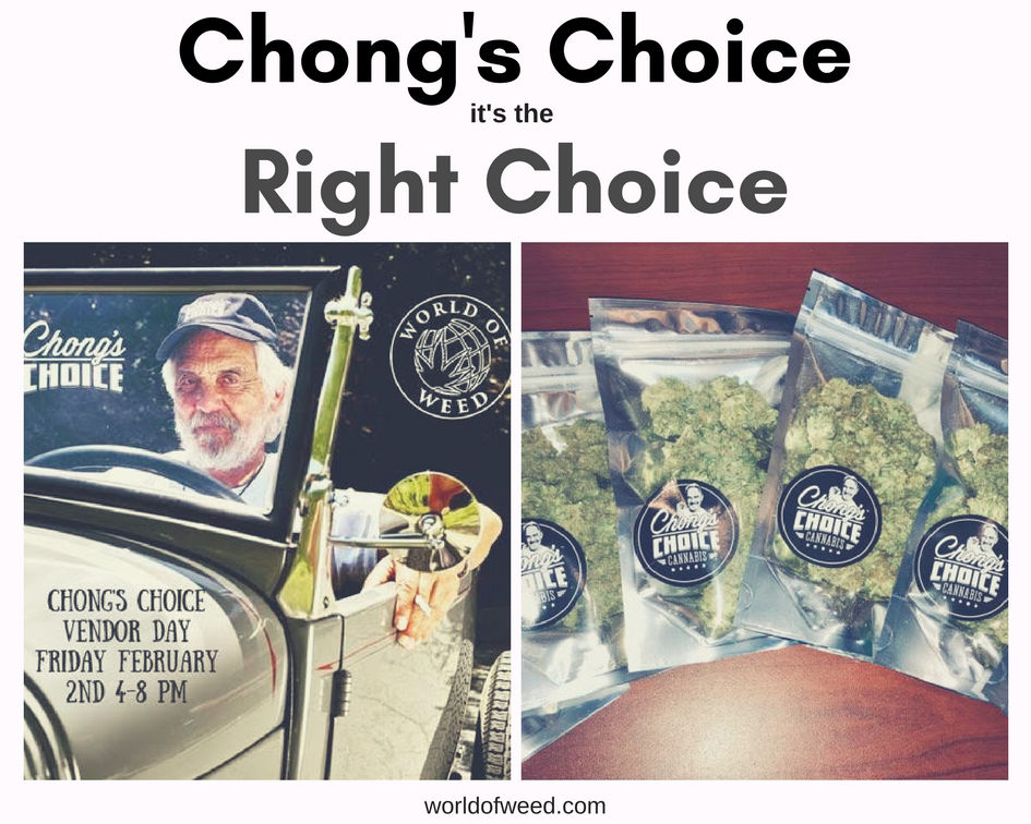 Chong’s Choice is Always the Right Choice