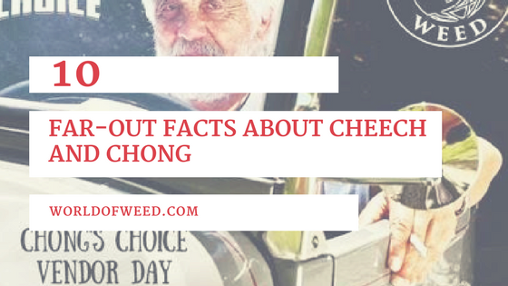 10 Far-Out Facts About Cheech and Chong