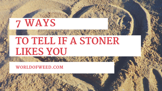 7 Ways to Tell If a Stoner Likes You