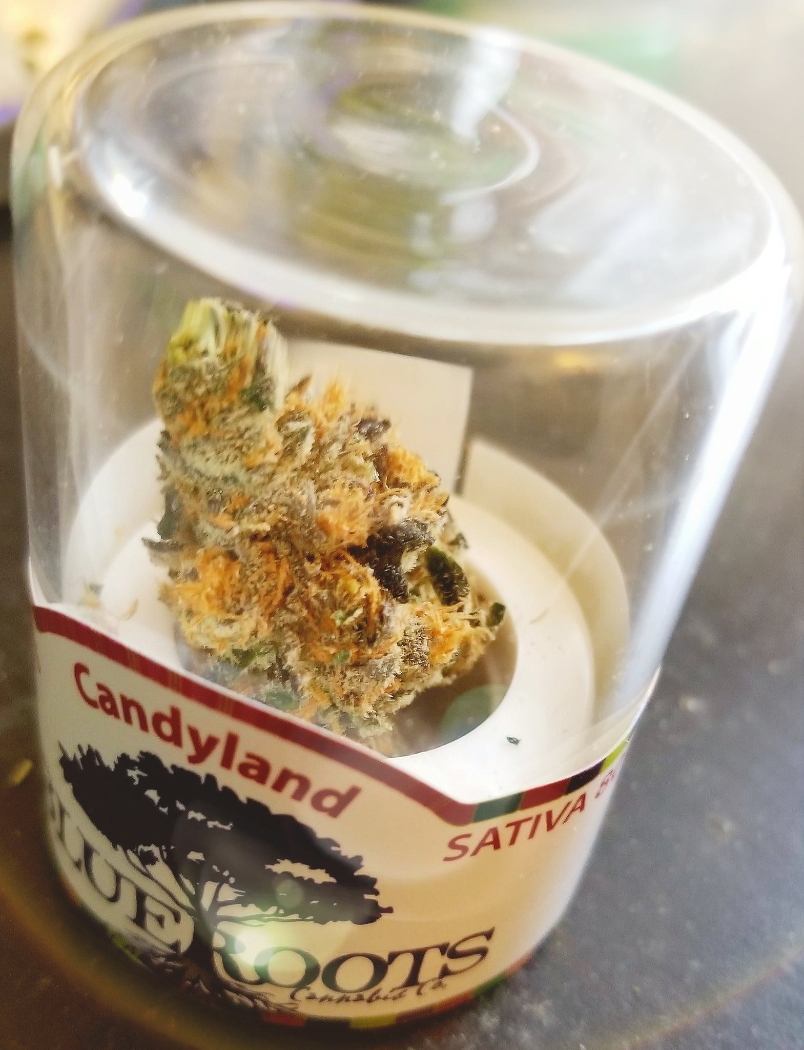 candyland blue roots cannabis, candyland strain, blue roots cannabis