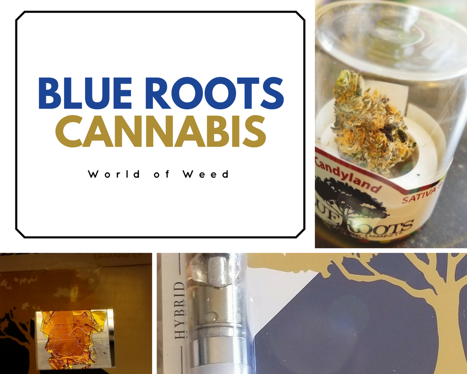 Blue Roots Cannabis: Flower, Shatter, and Distillate