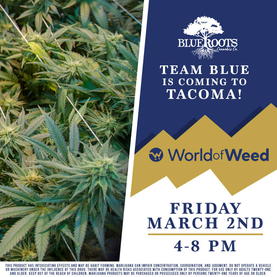 blue-roots-cannabis-products blue-roots-cannabis-products