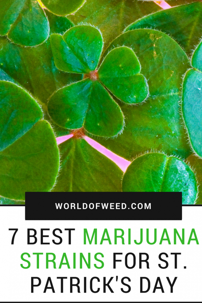 best marijuana strains for st. patrick's day