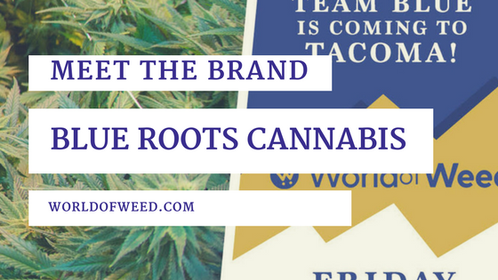 Meet the Brand: Blue Roots Cannabis