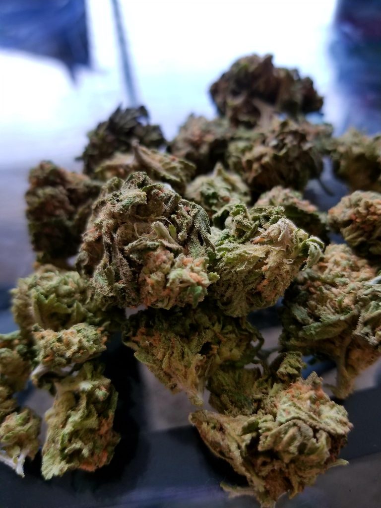 Explained: Why Weed Makes Things Better | World of Weed weed makes things better