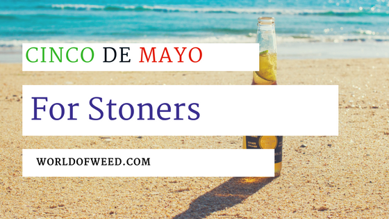 Celebrating Cinco de Mayo for Stoners