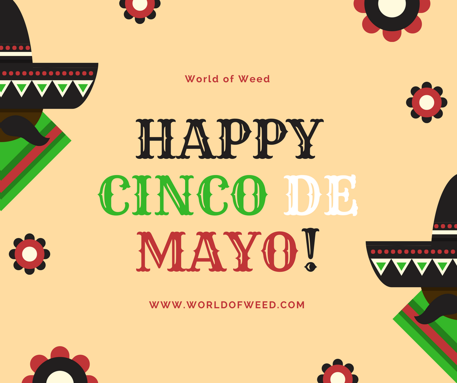Cinco de Mayo for stoners Cinco de mayo for stoners, cinco de mayo, tacoma dispensary