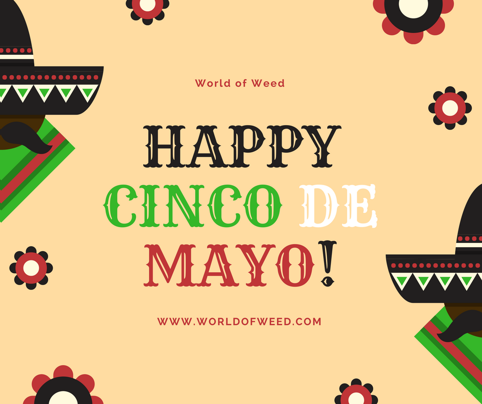 Cinco de mayo for stoners, cinco de mayo, tacoma dispensary