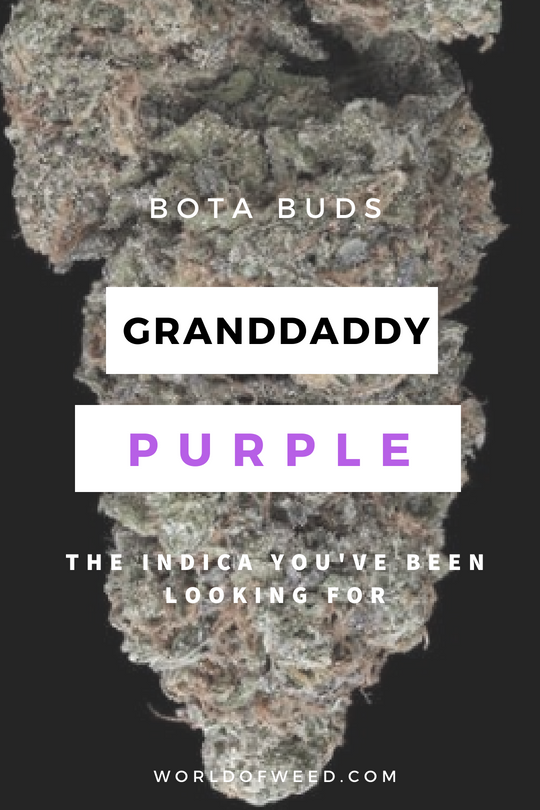 Bota Buds Granddaddy Purple strain