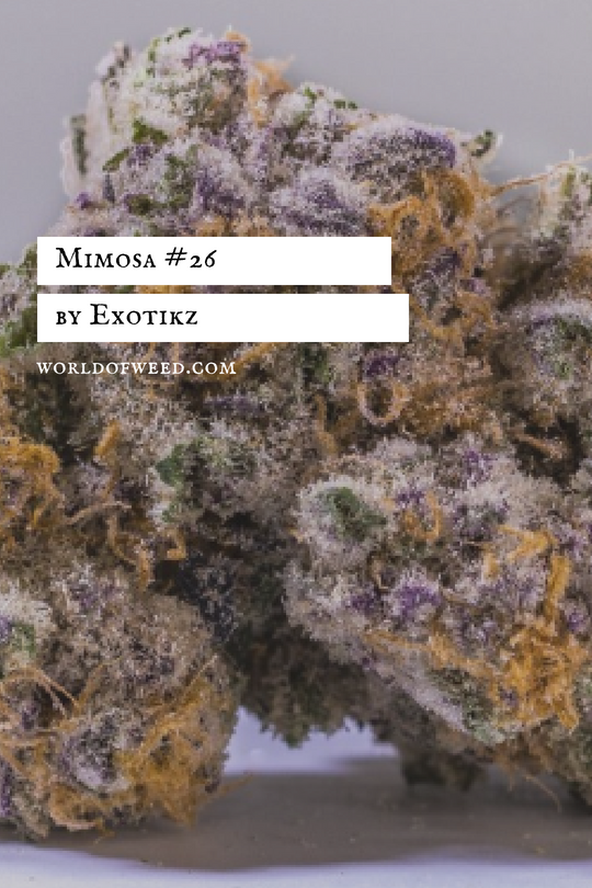 7+ Creative Cannabis Gifts for Father's Day 2018 creative cannabis gifts for Father's Day