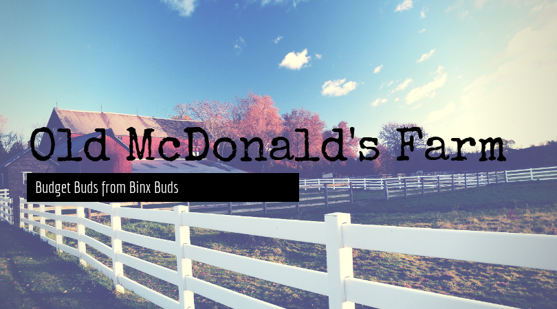 Old McDonald's Farm strains, binx buds